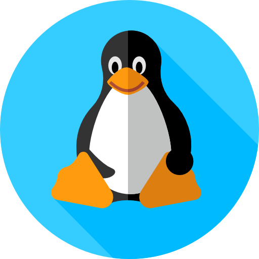 CSS