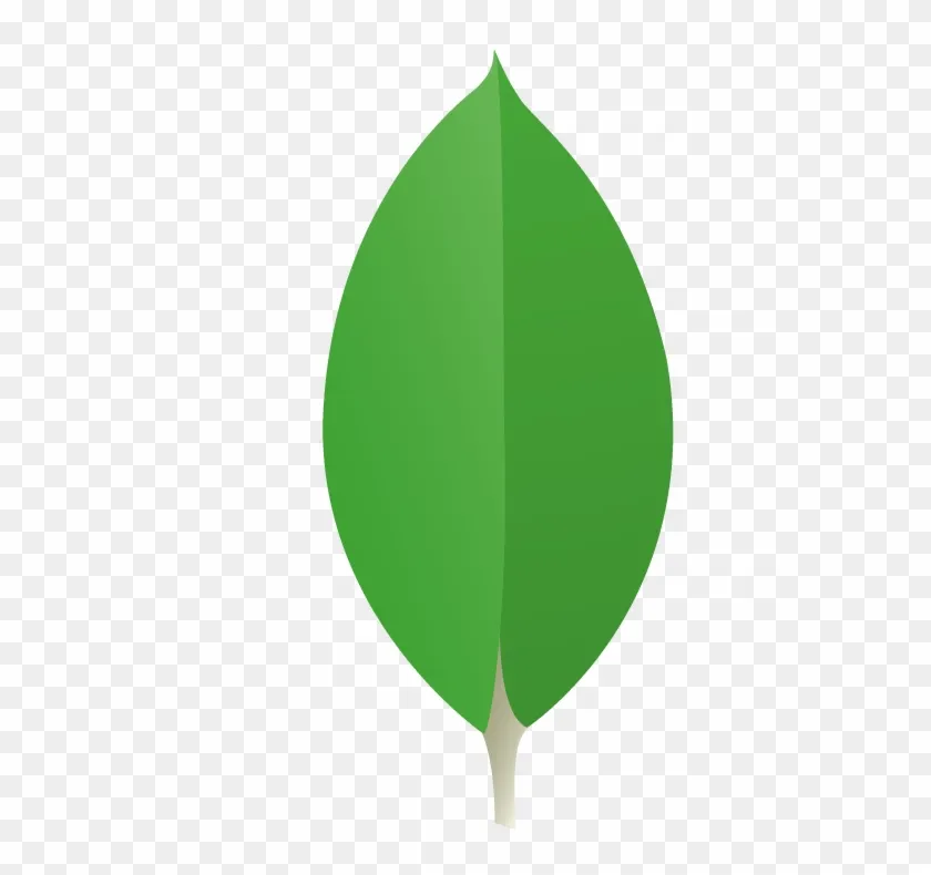 CSS